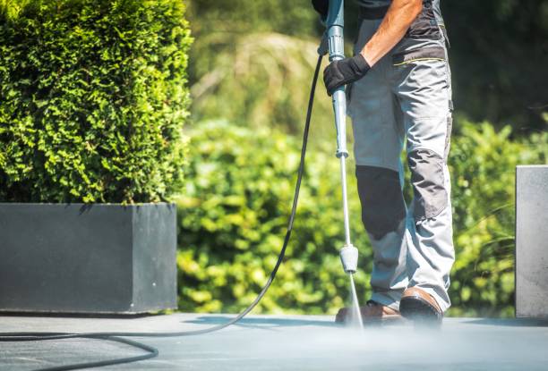 Animal Enclosure Cleaning in Socorro, TX