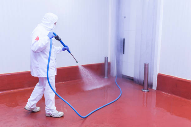 Best Paint Preparation  in Socorro, TX